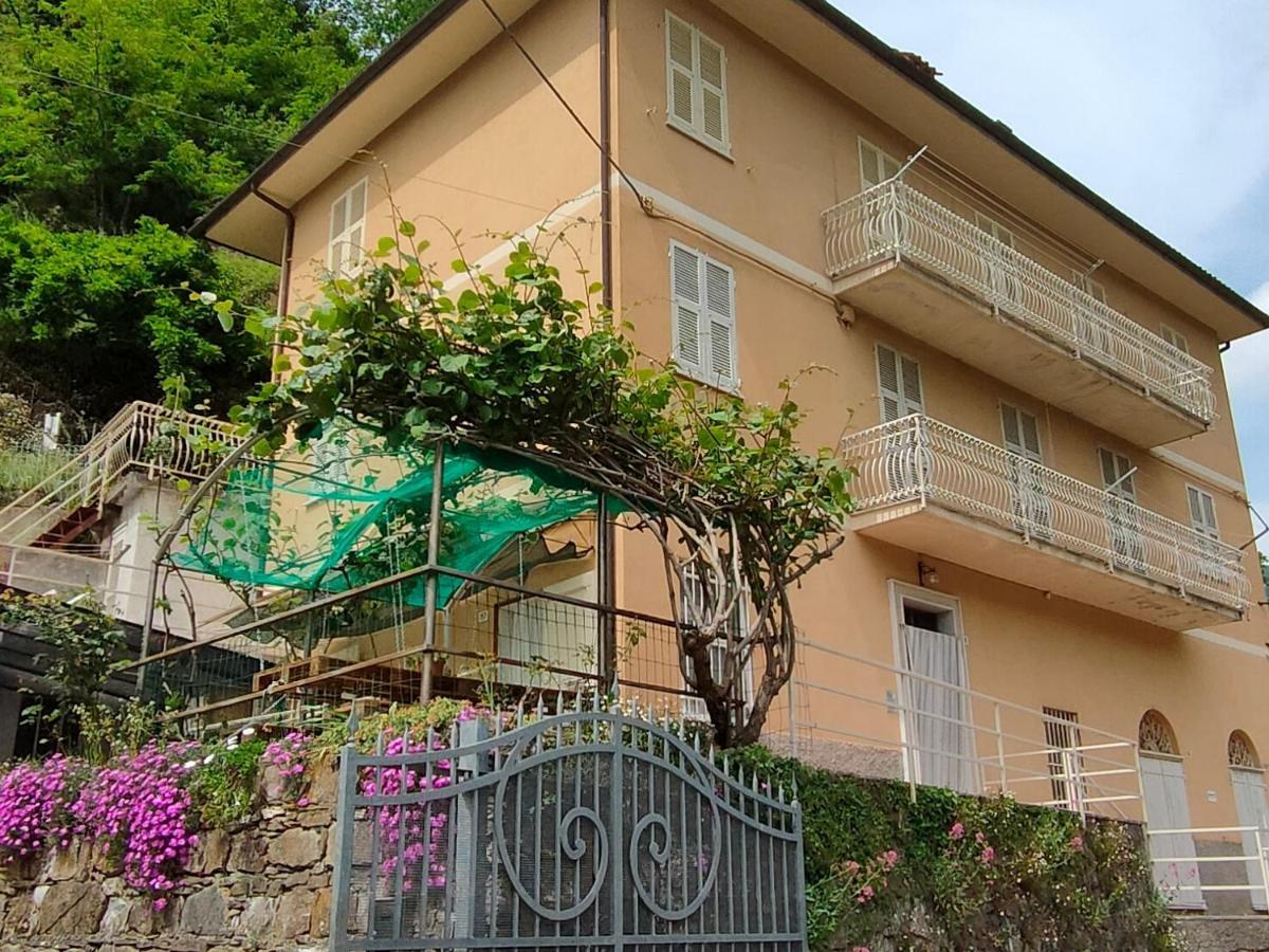 Ca Di Nonni Apartment Chiesanuova  Exterior photo